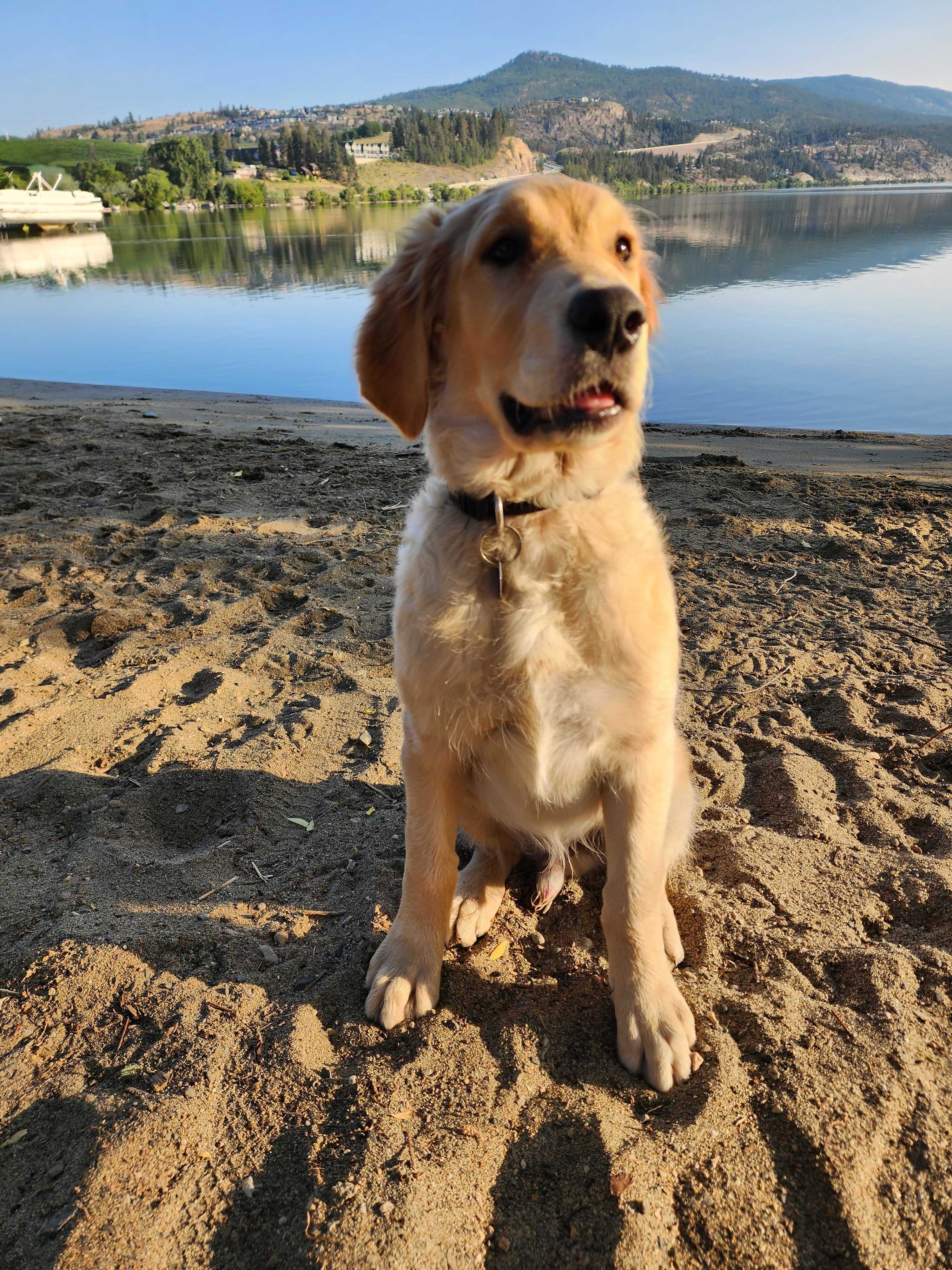 Test Default Schema 2