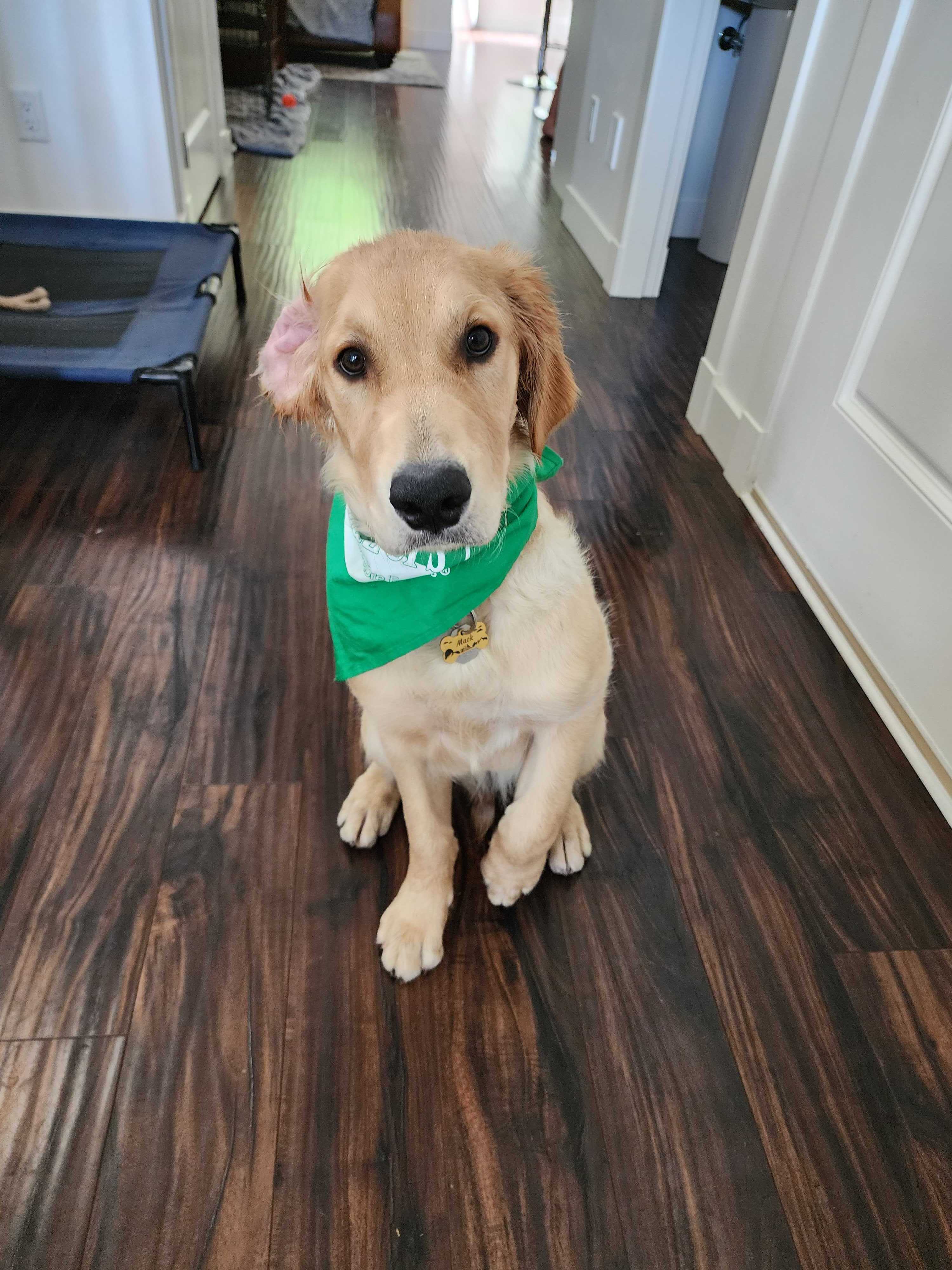 Test Metaobject Grouping